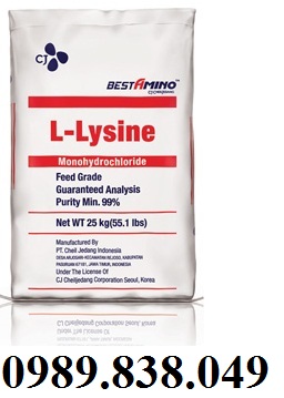 |Ho&aacute; chất L-Lysine HCl